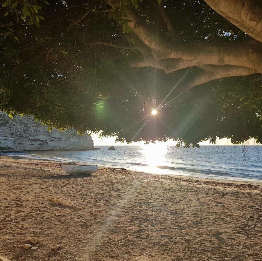Casa Barbados En Agua Amarga Leilighet Agua Amarga  Eksteriør bilde